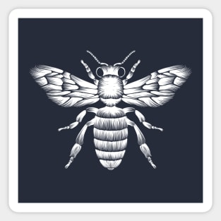 Bee Block Print Sticker